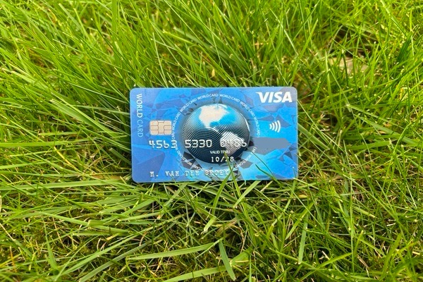 Visa world card in het gras