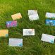 Een aantal creditcards in het gras